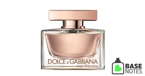 dolce gabbana rose the one basenotes